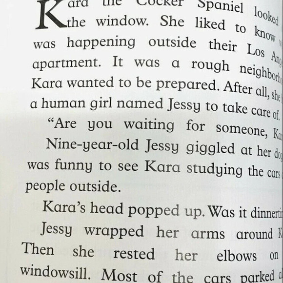 ARTLIST COLLECTION THE DOG: HOLLYWOOD SPANIEL Book By Howie Dewin Paperback - Picture 9 of 9